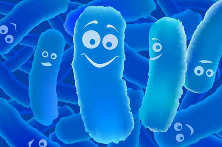 Bacteriocins