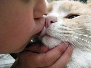 Микроспория: причины, симптомы, лечение